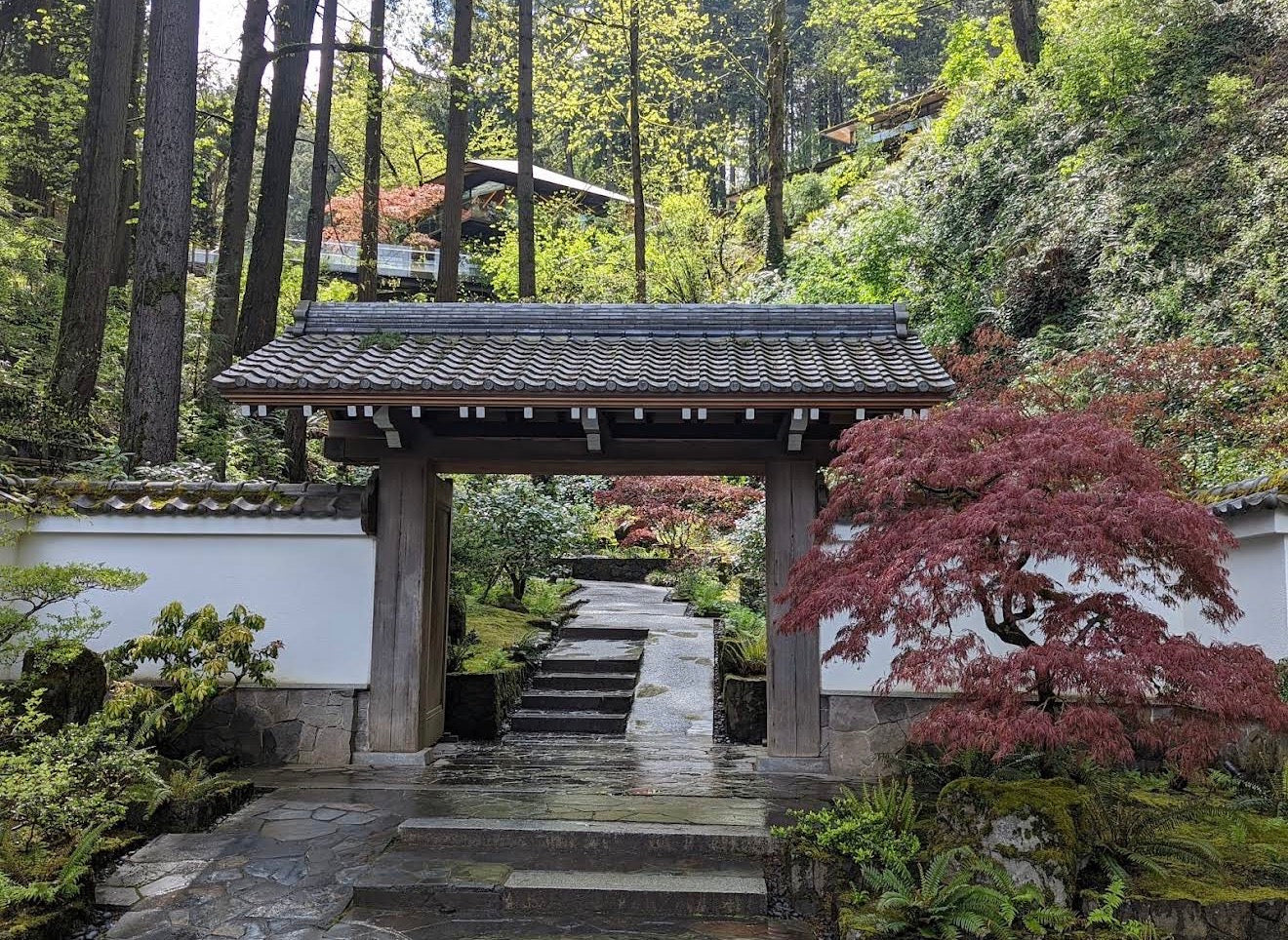 Japanese-inspired garden entrance with traditional wooden architecture and peaceful outdoor decor