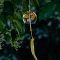 Japanese Osmanthus glass wind chime hanging among green leaves in a tranquil garden.